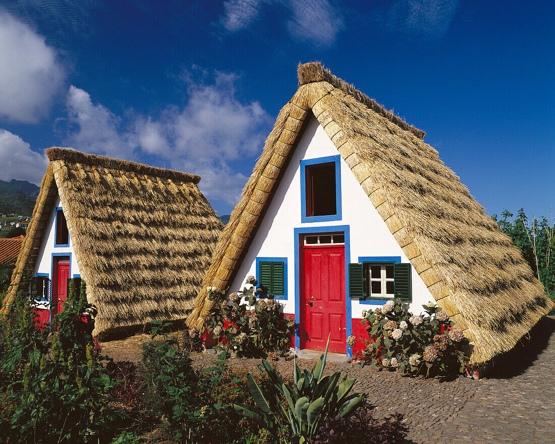 Casa de Colmo in Santana, traditional Madeira styled thatched house. Madeira Island. Portugal