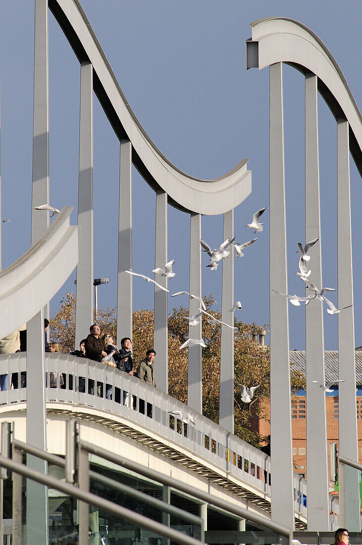 Barcelona. Maremagnum. Spain.