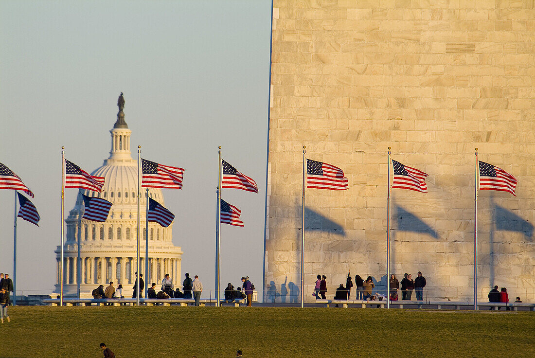 United States, Washington, District of Columbia, Cathedral of Immaculate Conception