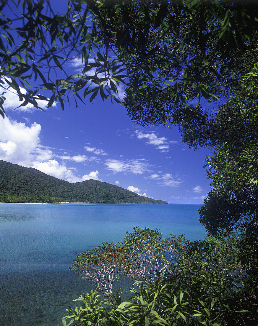 scenic cape tribulation daintree rainforest north queensland coastline australia