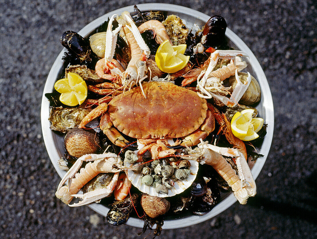 Seafood. Biarritz. Pays Basque. Pyrénées Atlantiques . France