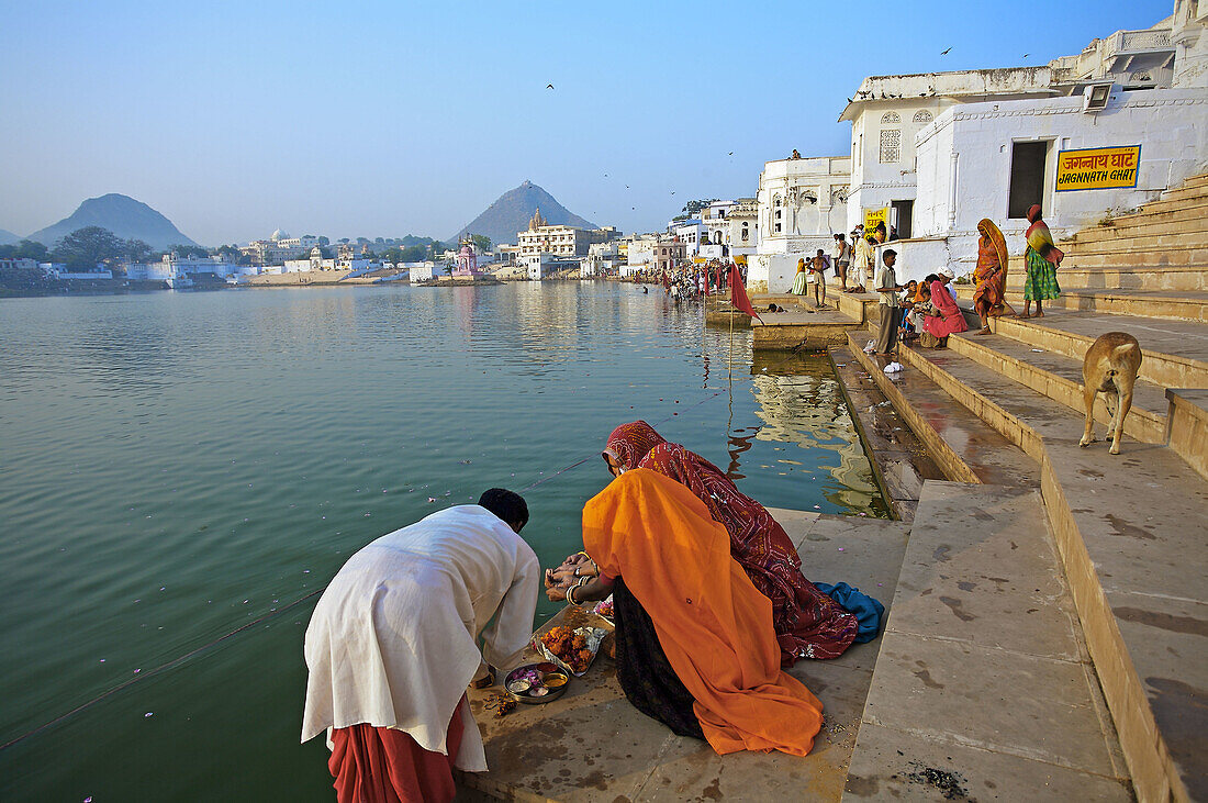 Pilgrims bathing in the Pushkar Holy lake during the Pushkar camel fair. Pushkar. Rajasthan. India. Asia