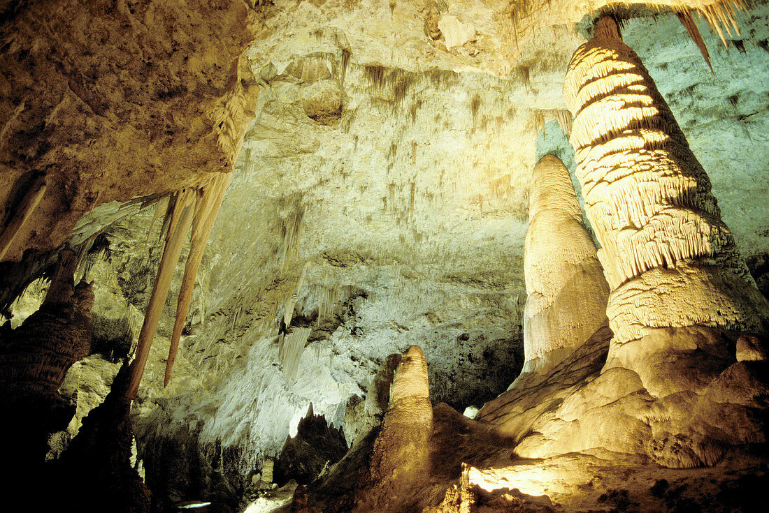 Carlsbad Caverns National Park. New Mexico. USA