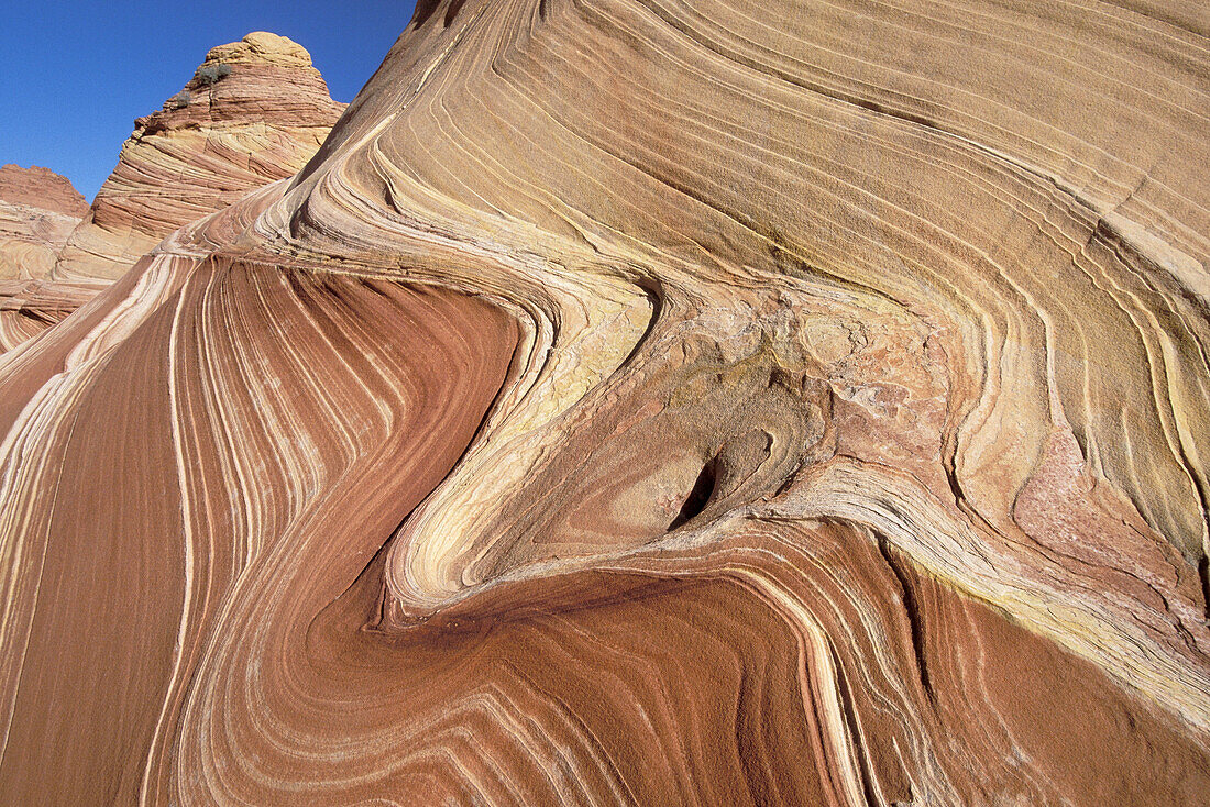 The Wave, swirling sandstone formation. Paria Canyon-Vermilion Cliffs Wilderness. Arizona, USA