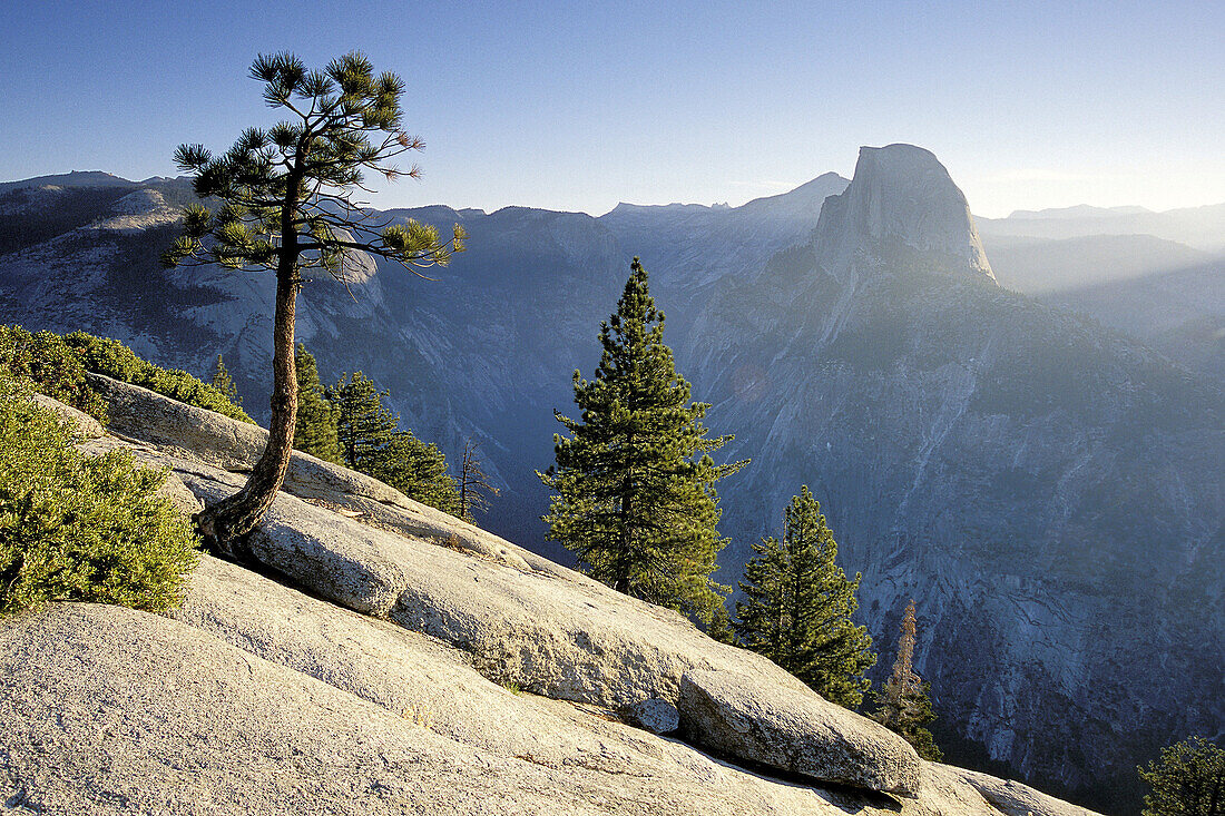 Half dome from Glacier Point. Yosemite National Park. California. USA