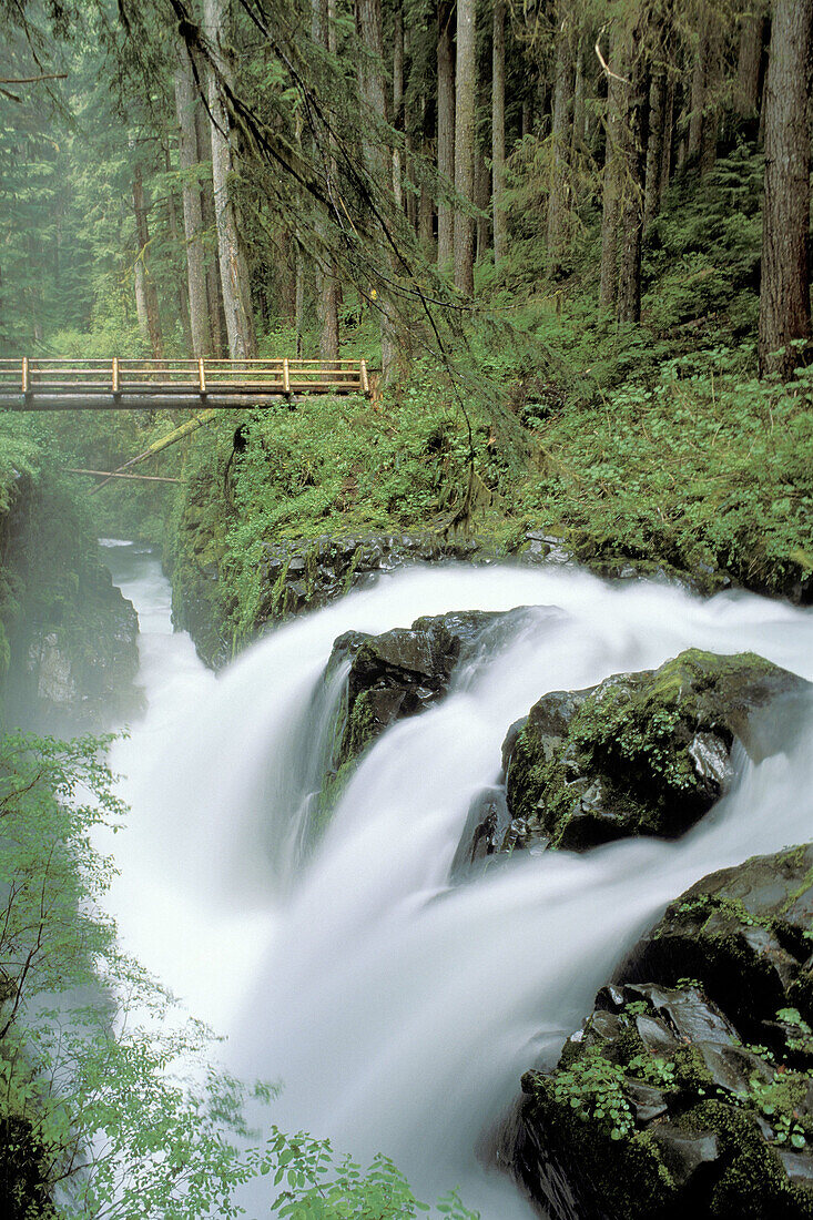 Sol Duc Falls, Olympic National Park. Washington. USA