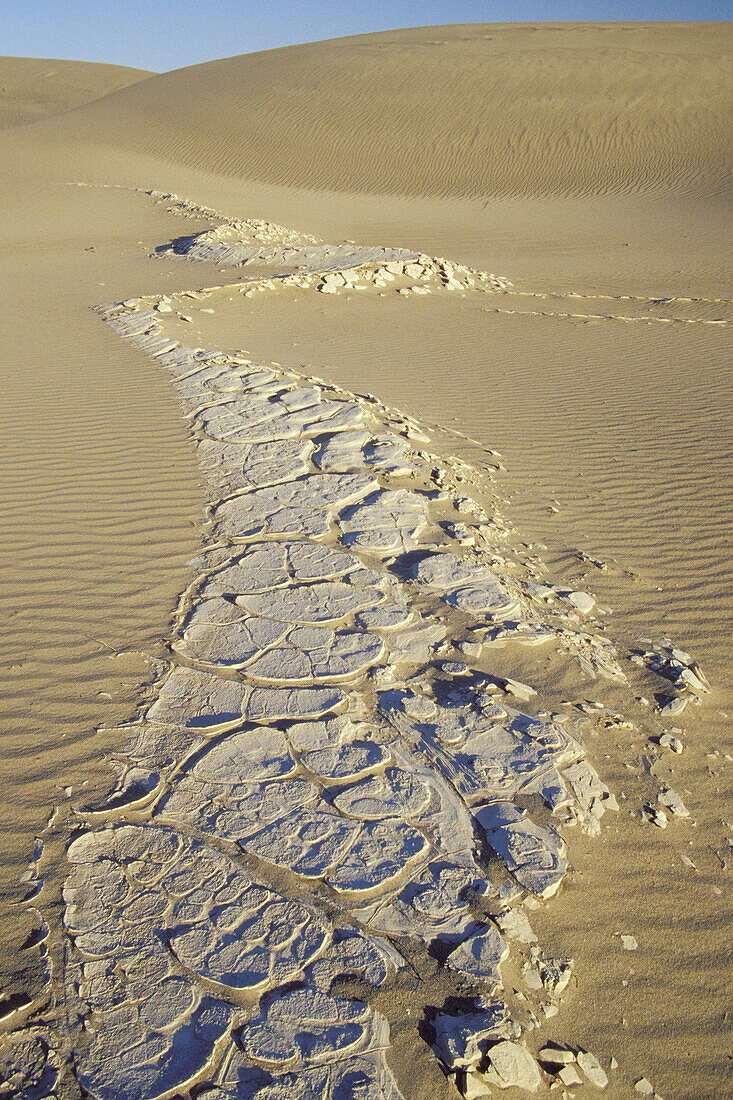 Sand dunes, Death Valley National Park. California. USA