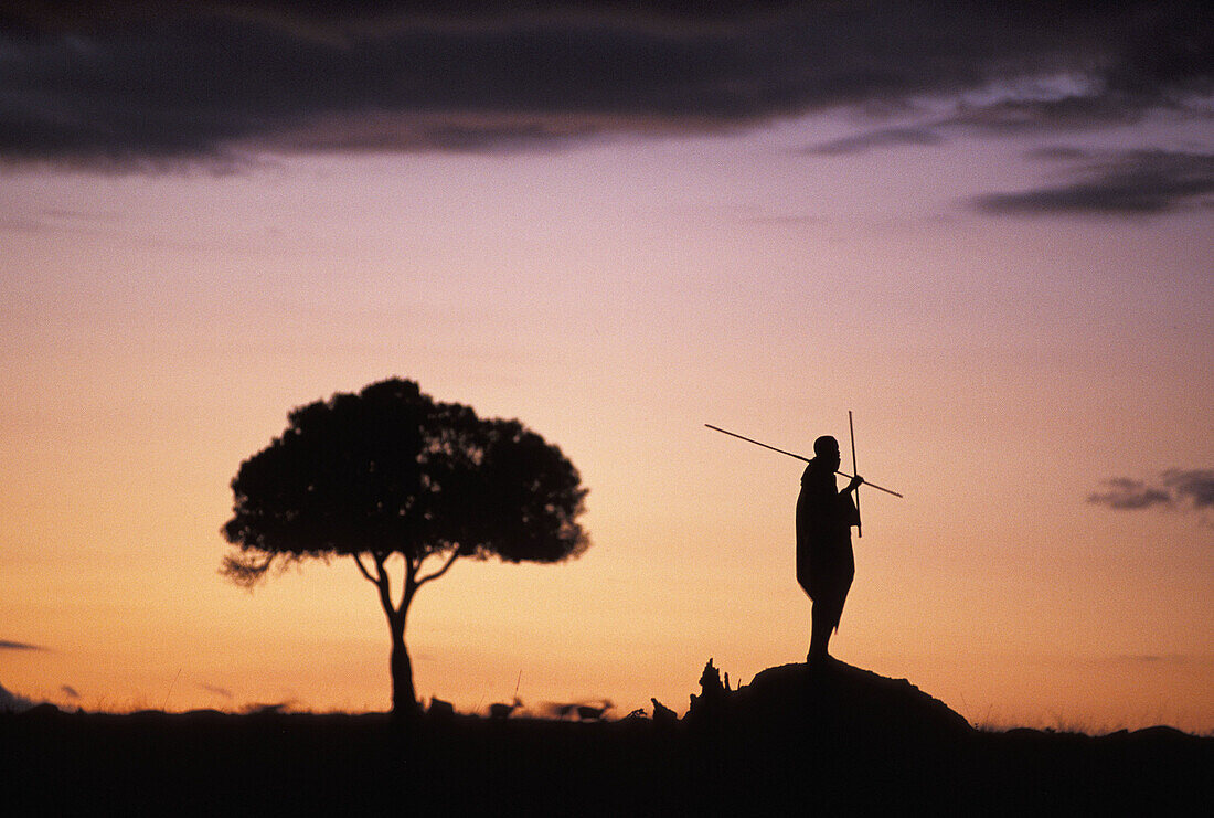 Maasai silhouette in African landscape. Masai Mara, Kenya