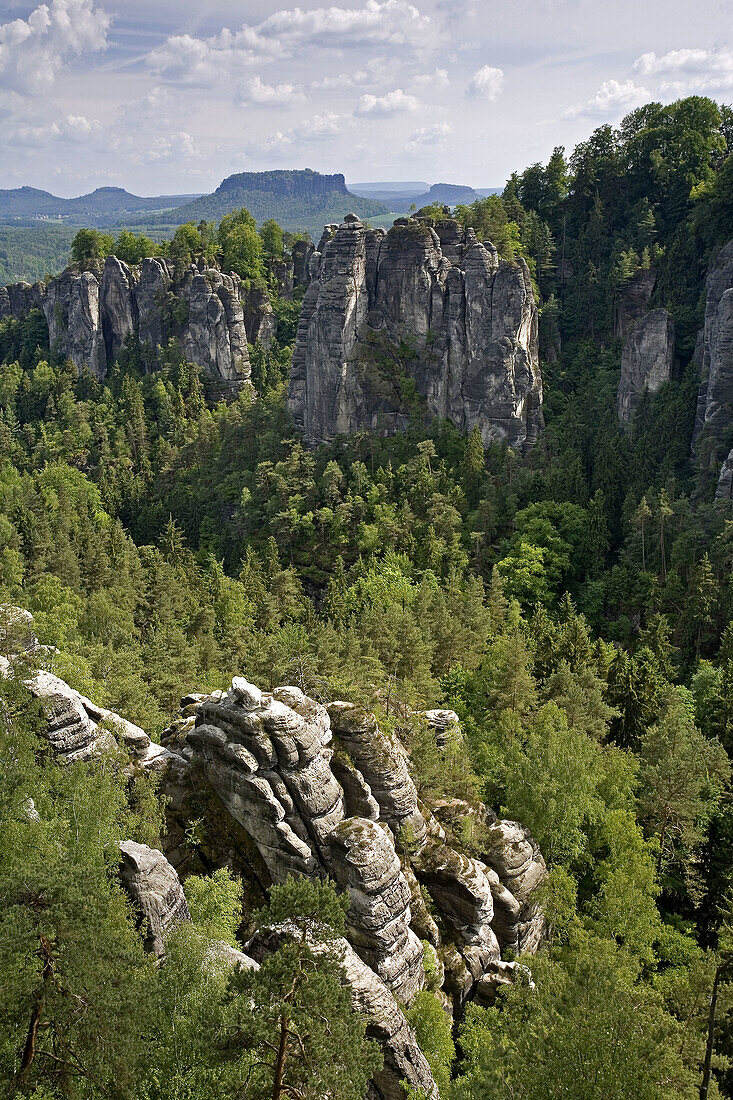 Elbe Sandstone Mountain. Saxon Switzerland National Park Region. Germany