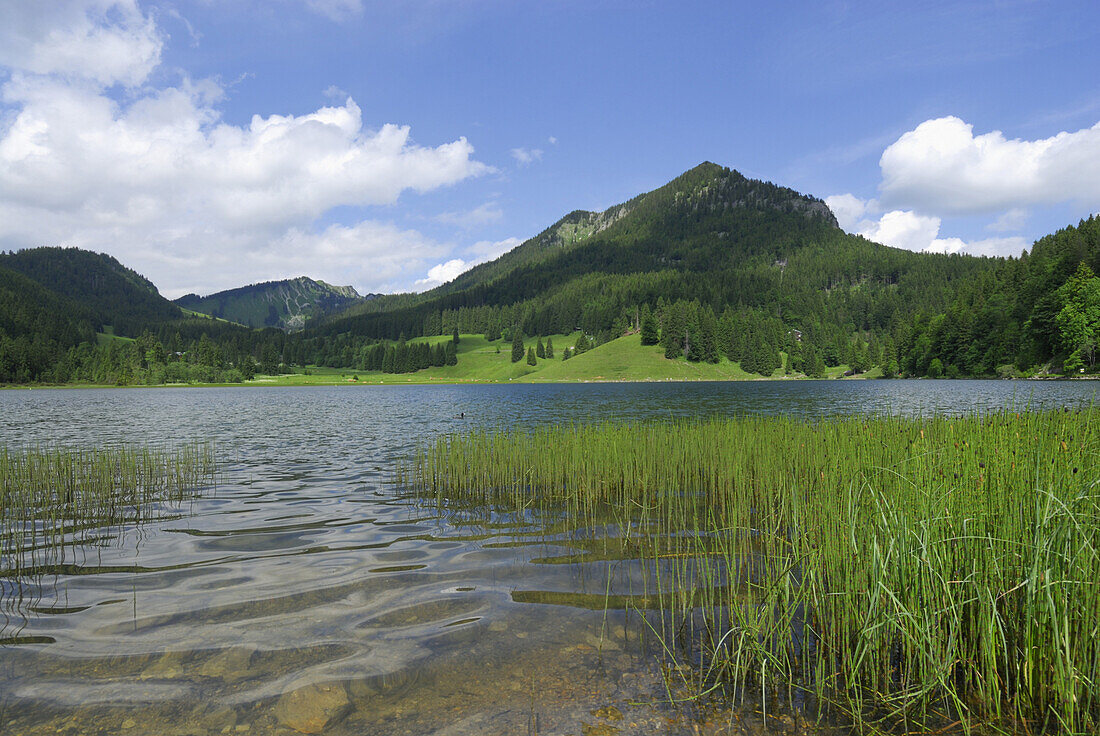 Lake Spitzingsee, Bavarian foothills, Bavaria, Germany