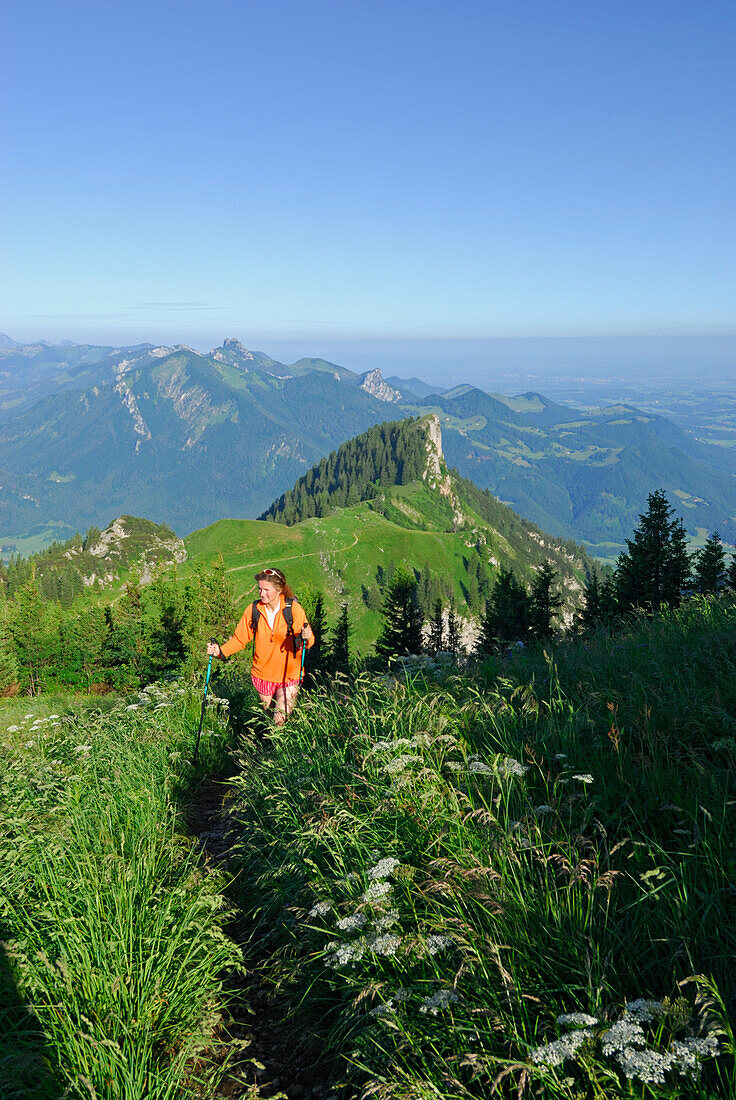 young woman ascending Hochgern, view to Kampenwand and Hochlerch, Chiemgau range, Chiemgau, Upper Bavaria, Bavaria, Germany