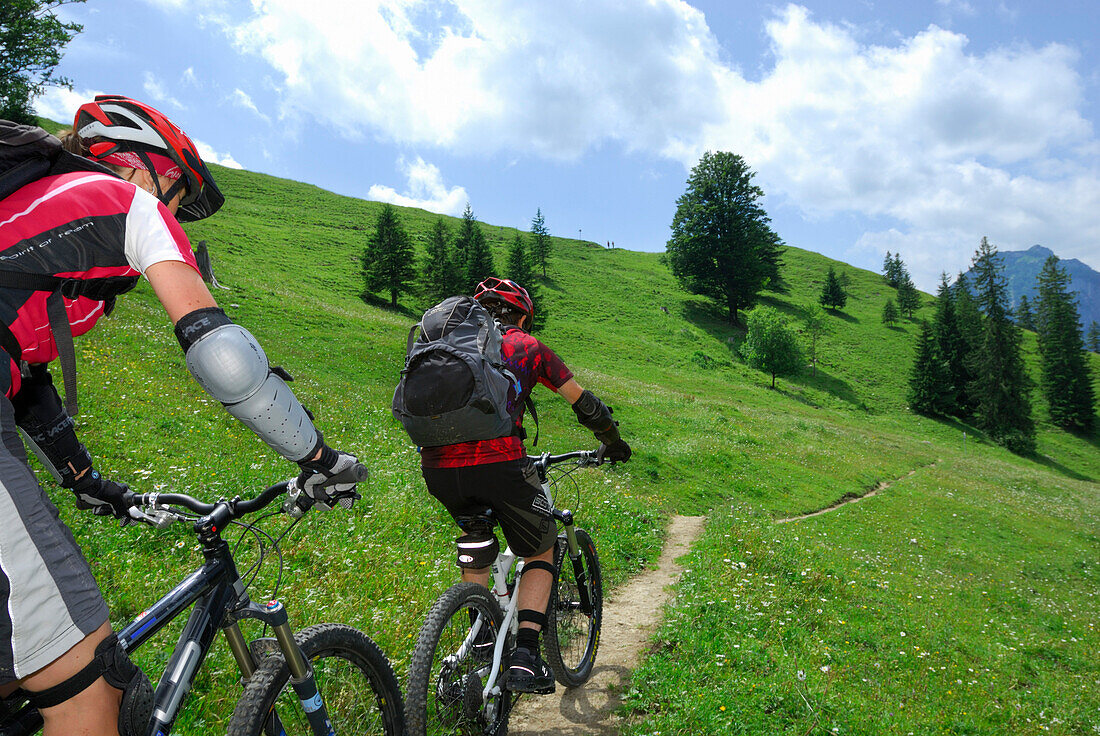 young woman and man mountain biking on alpine pasture, Wendelstein range, Bavarian range, Upper Bavaria, Bavaria, Germany