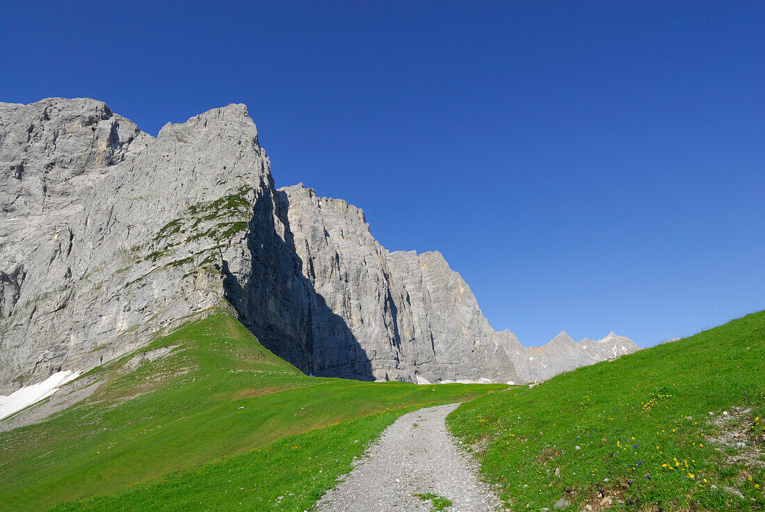 path in alpine pasture leading towards mountain range, notch Hohljoch, Karwendel range, Tyrol, Austria