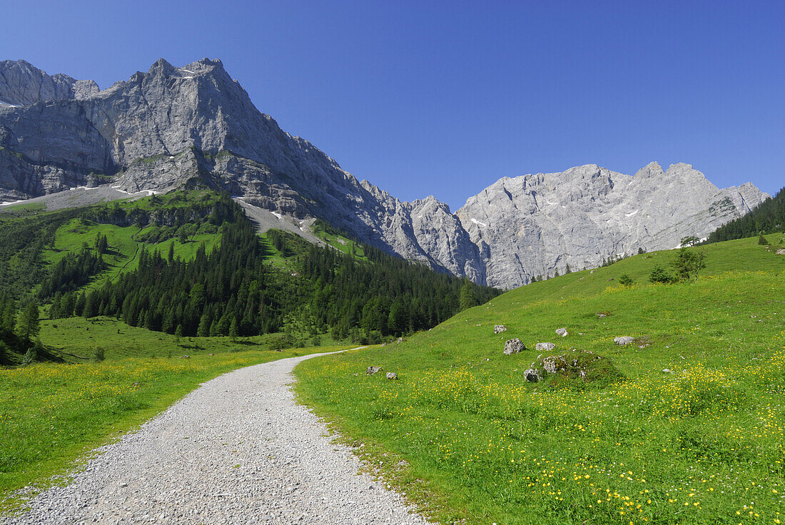 Enger Alm with Karwendel range in background, Eng, Tyrol, Austria