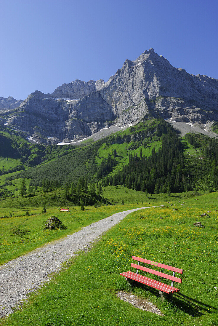 Bench in a meadow, Enger Alm, Eng, Karwendel range, Tyrol, Austria
