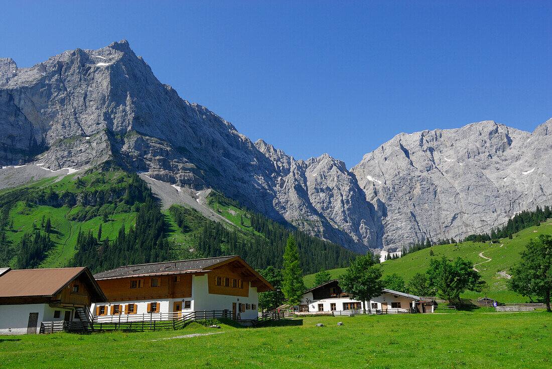 Enger Almen vor Bergkulisse, Enger Alm, Eng, Karwendel, Tirol, Österreich