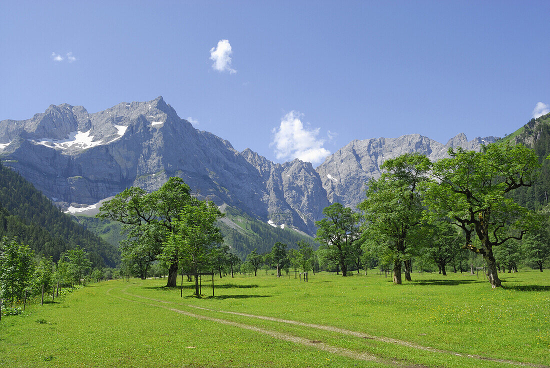 Großer Ahornboden, bei Eng, Karwendel, Tirol, Österreich