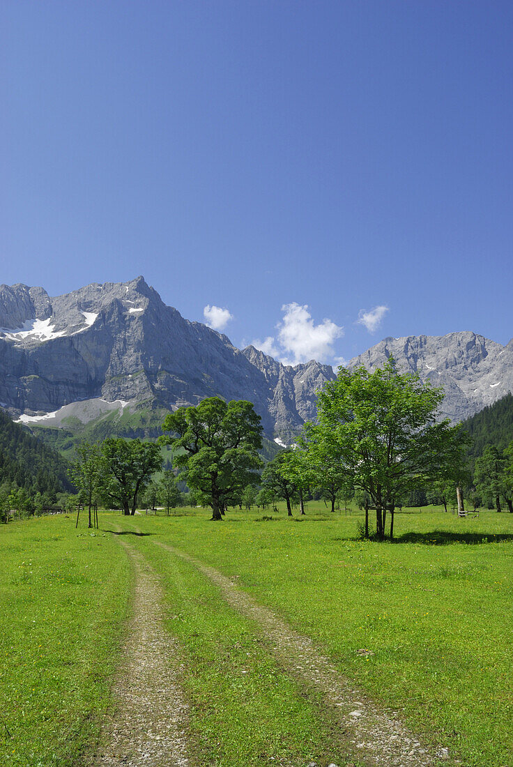 Grosser Ahornboden, near Eng, Karwendel range, Tyrol, Austria