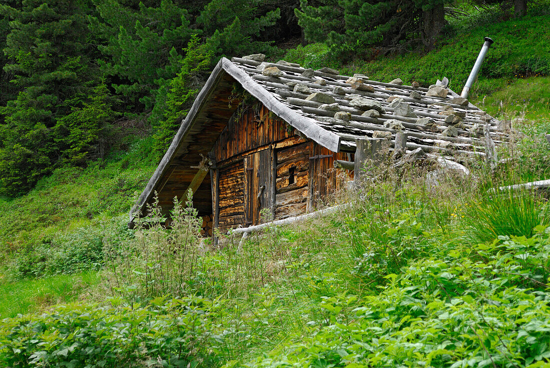 alpine hut with shingle roof, Sarntal range, Brixen, South Tyrol, Alta Badia, Italy