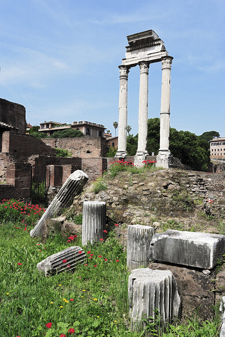 Ruins of the Temple of Castor and Pollux in Roman Forum, Rome, Italy
