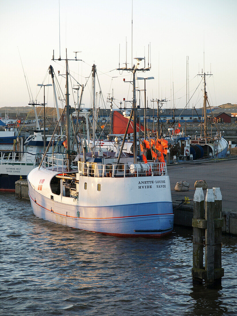 Fischkutter im Hafen von Hvide Sande, Jütland, Dänemark