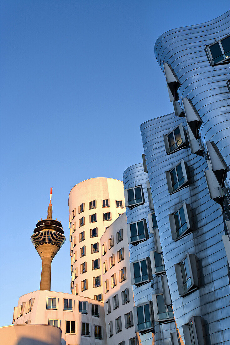 Gehry Bauten, Neuer Zollhof, Rheinturm im Hintergrund, Medienhafen, Düsseldorf, Nordrhein-Westfalen, Deutschland