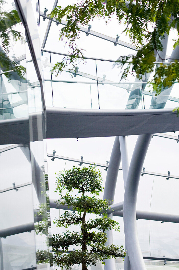 modern interior architecture made of glass with trees and pedestrian bridge in the museum Hangar 7, Salzburg, Austria