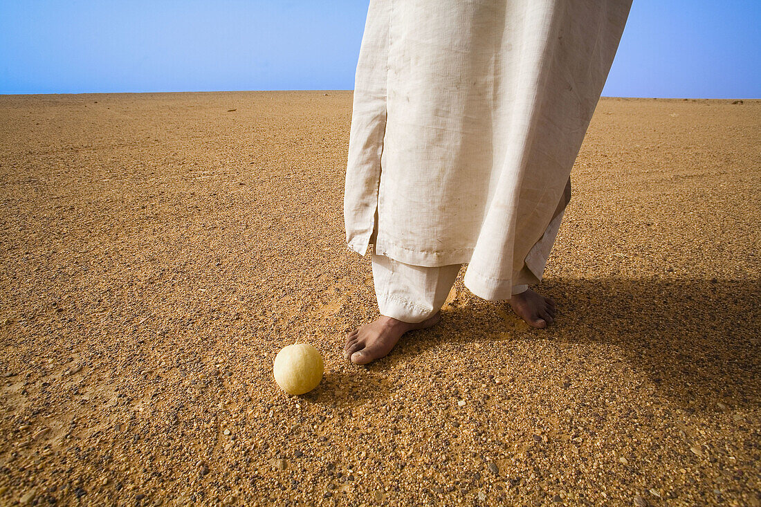 Cucurbitaceae family non-edible fruit is the only production of this desert. Fezzan region. Sahara desert. Libia.