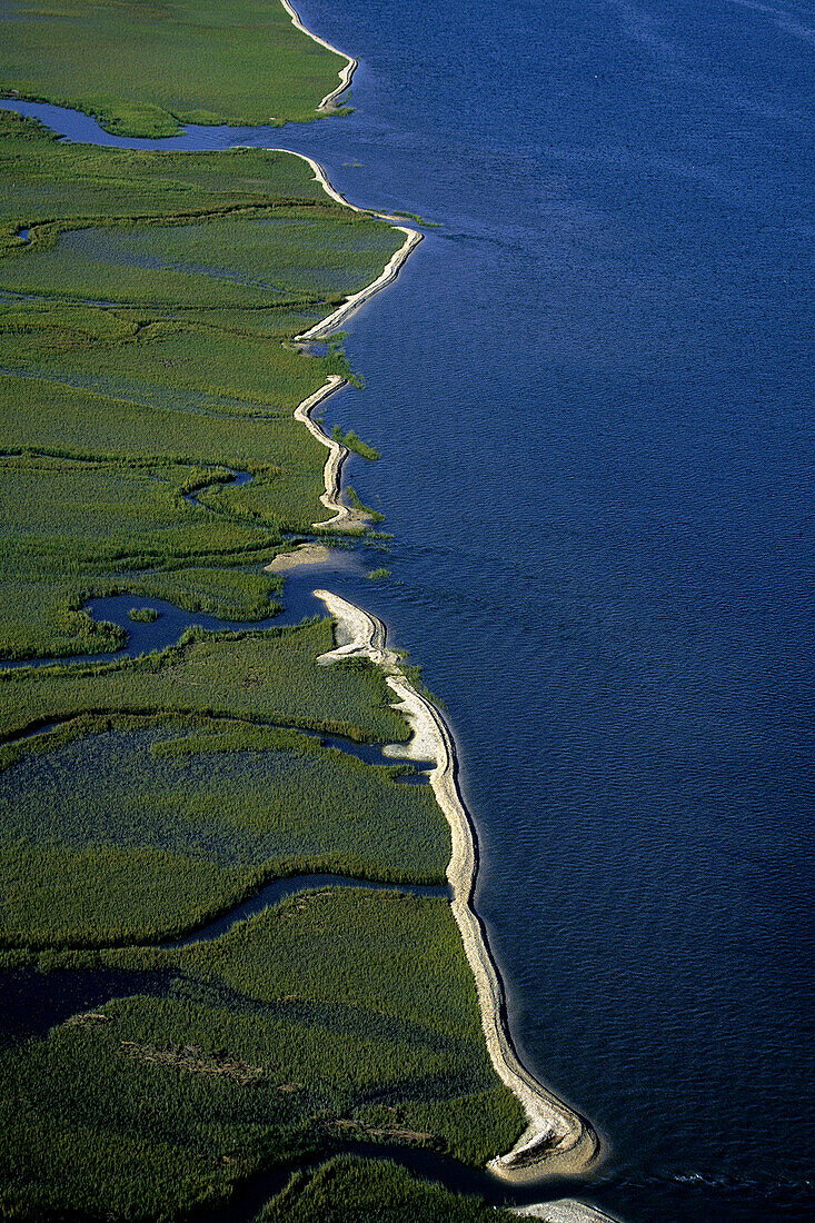 Aerial photo of shoreline oyster rakes As 'string of pearls'.