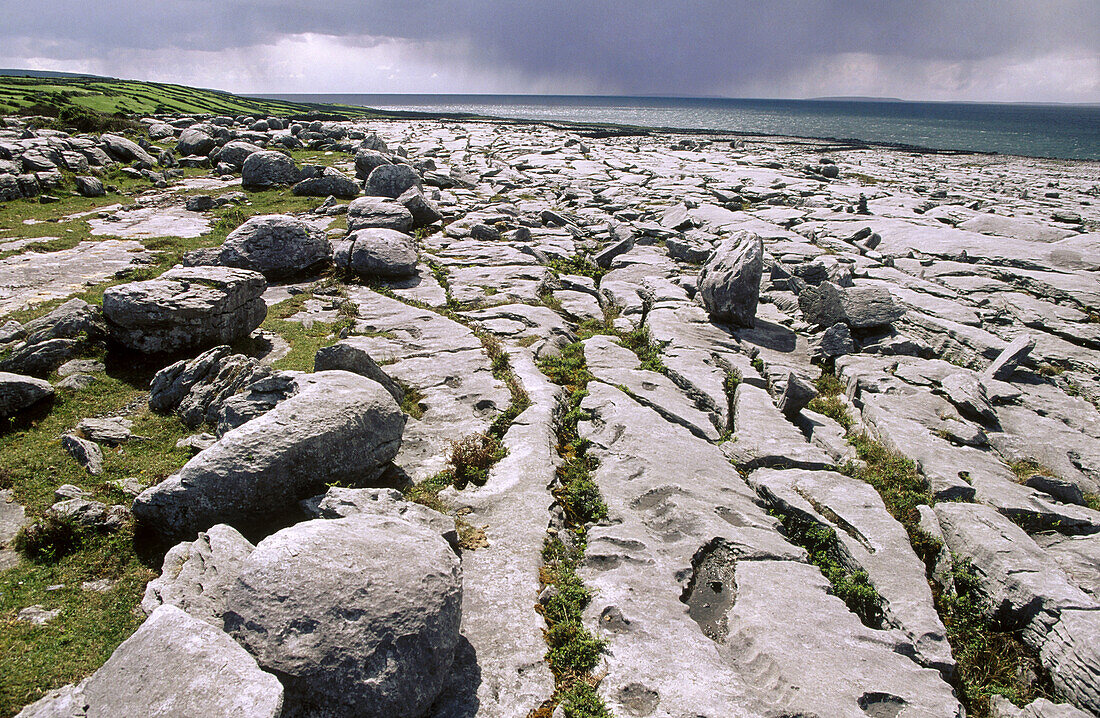 Ireland. Co. Clare. Burren region. Derreen beach.