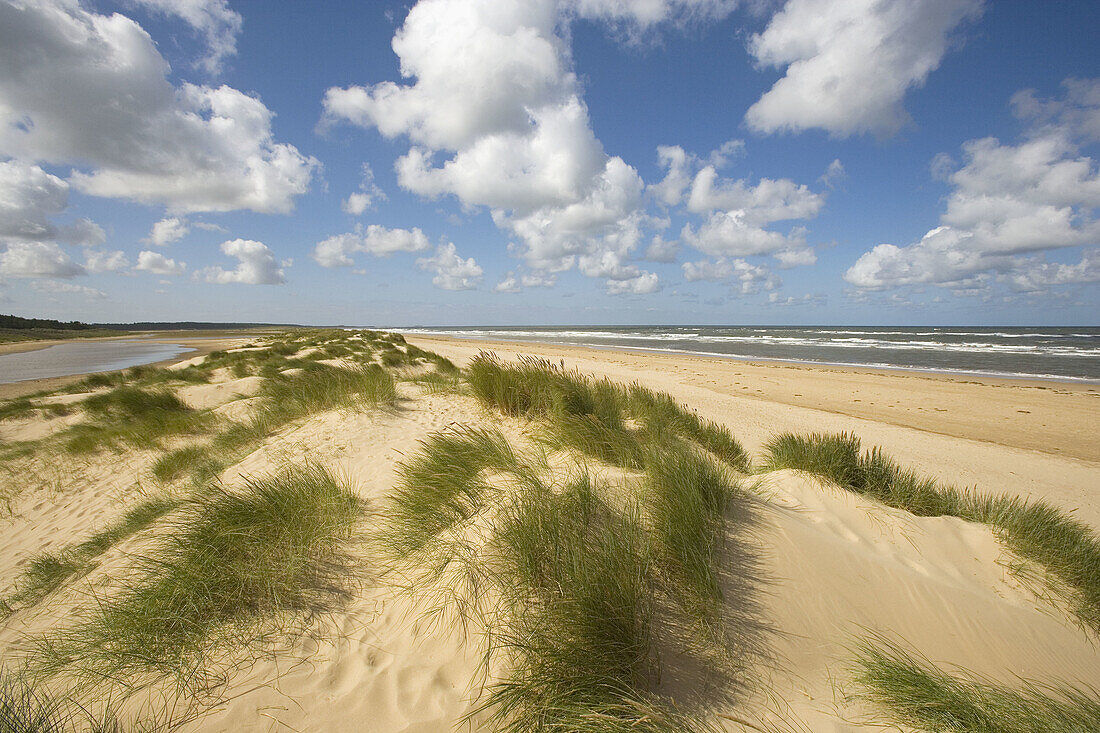 Holkham Beach North Norfolk Coast September. UK.