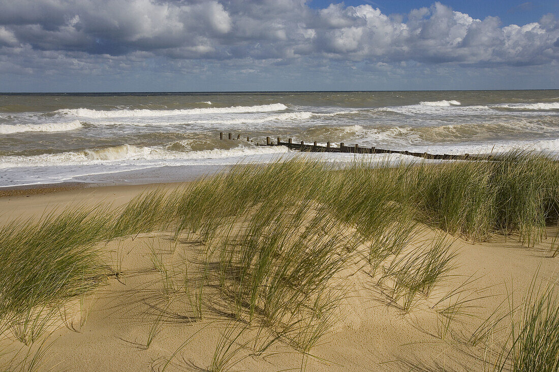 Winterton Beach. Norfolk. September