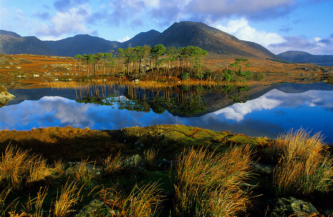Seenlandschaft mit Spiegelung, Ballynahinch Lake, Connemara, Co. Galway, Republik Irland, Europa