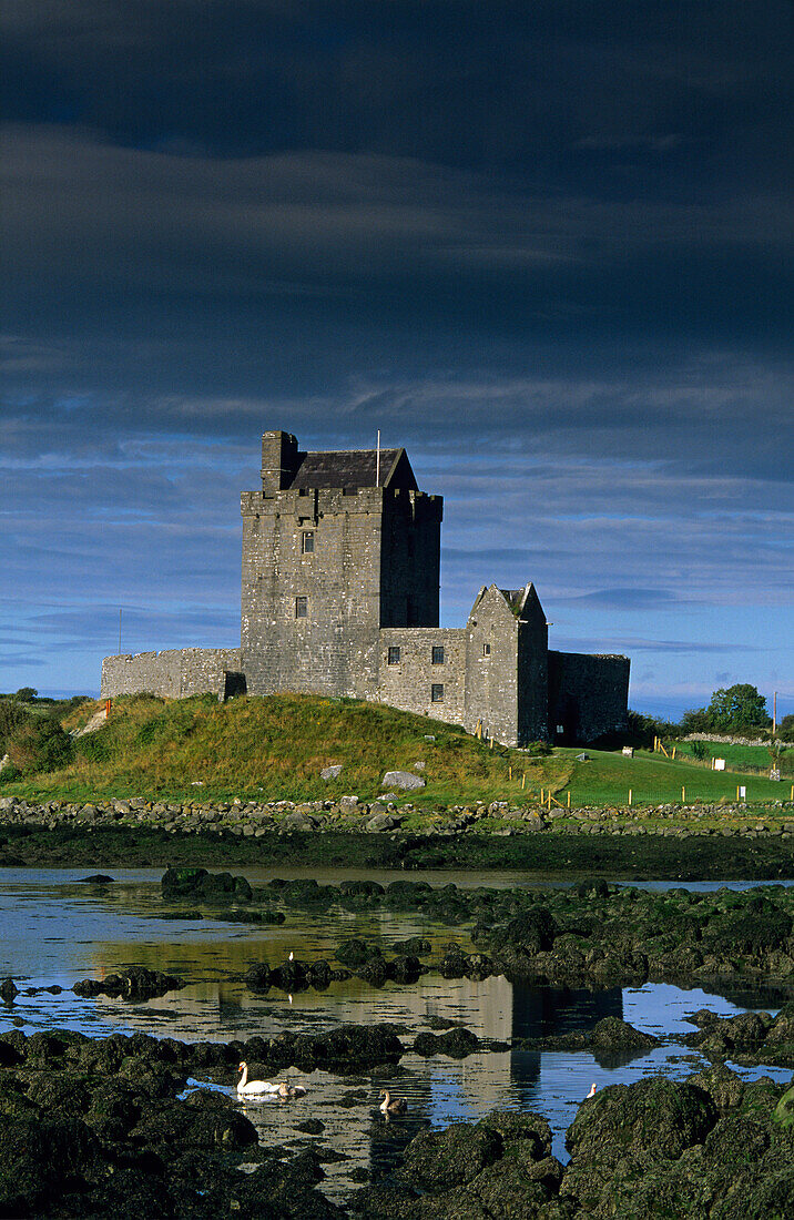 Dunguaire Castle, Kinvarra, Co. Galway, Ireland, Europe