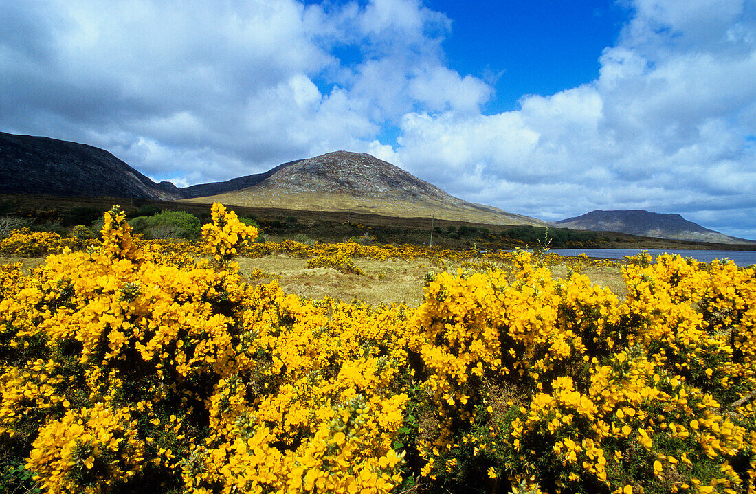 Landscape near Maam Cross, Connemara, Europe, Co. Galway, Ireland, Europe