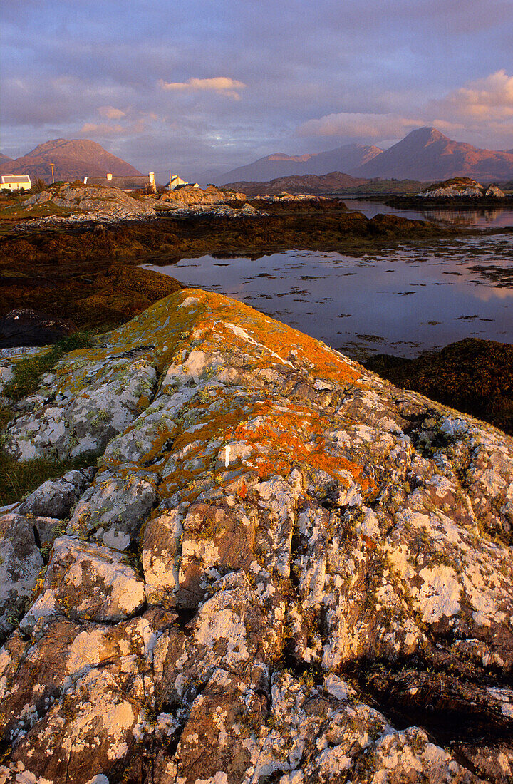 Houses and landscape at Ballynakill Harbour in the light of the evening sun, Connemara, County Galway, Ireland, Europe