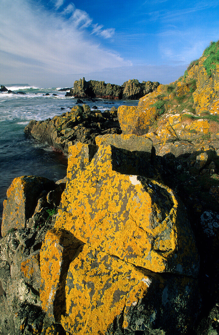 Felsen an der Küste im Sonnenlicht, County Antrim, Irland, Europa