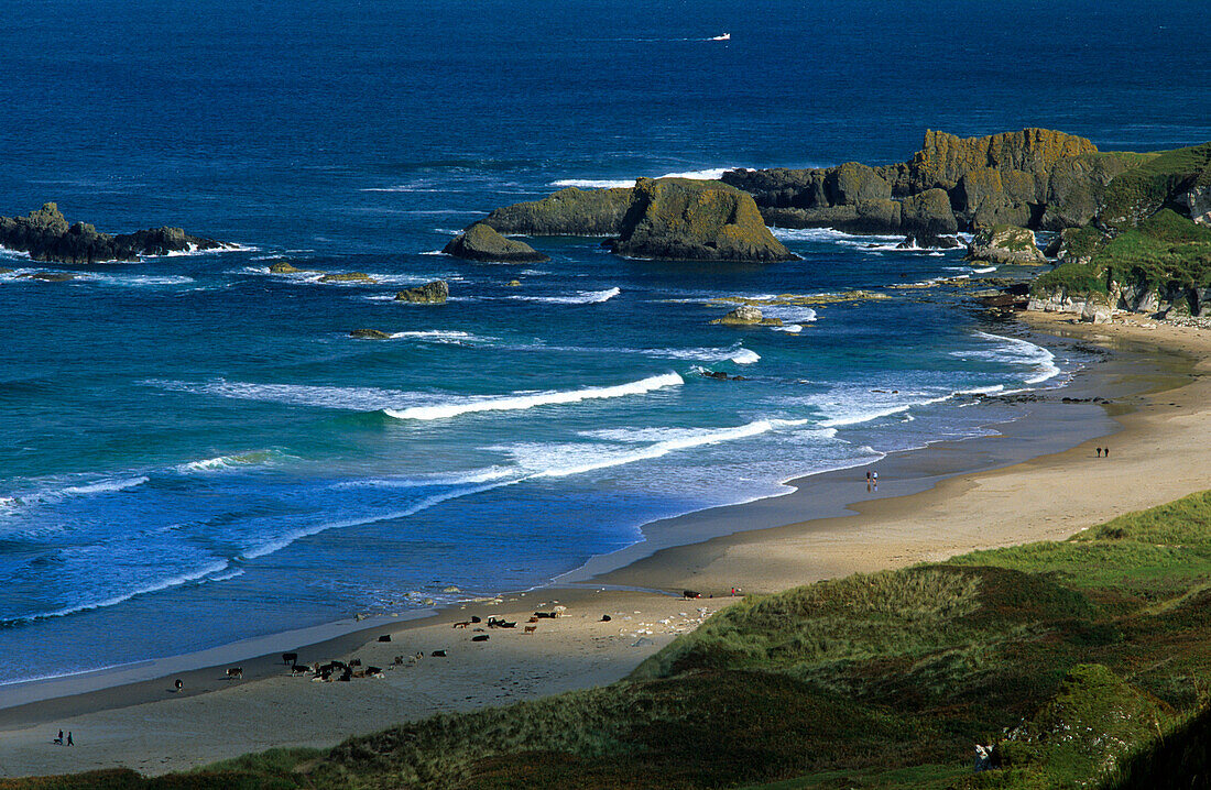 Weitläufiger Strand in einer Bucht im Sonnenlicht, White Park Bay, Portbradden, County Antrim, Irland, Europa