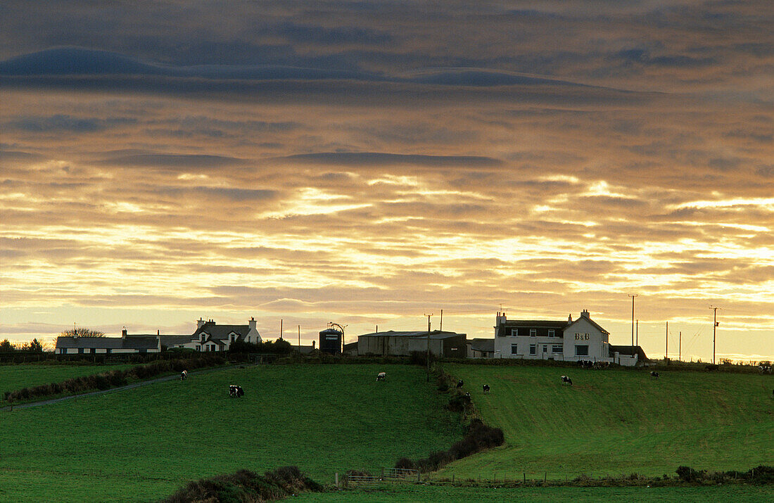Farm house on a hill in the evening, Bushmills, County Antrim, Ireland, Europe