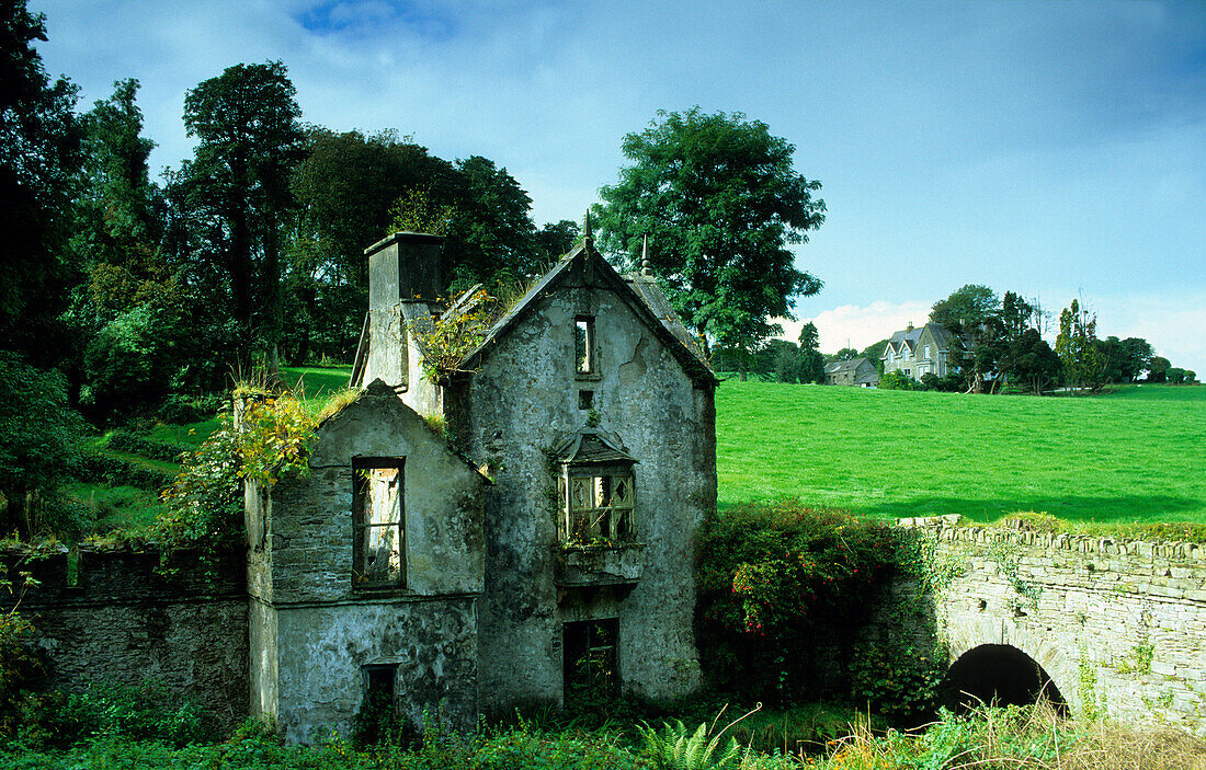 Verfallenes Haus vor grüner Wiese im Sonnenlicht, County Kerry, Irland, Europa