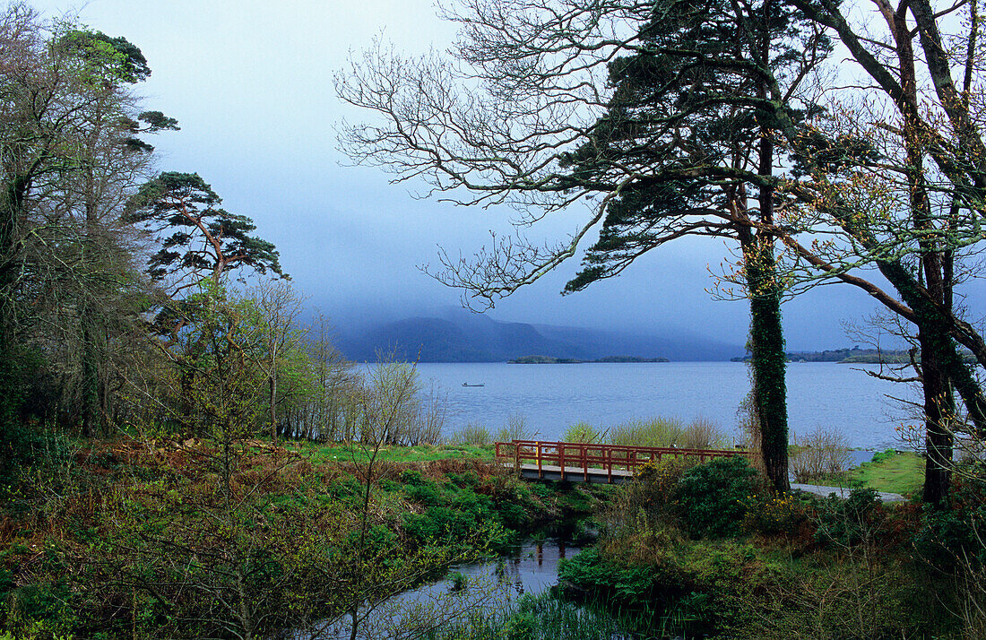 Der See Lough Leane und eine kleine Brücke unter Bäumen, Killarney Nationalpark, County Kerry, Irland, Europa