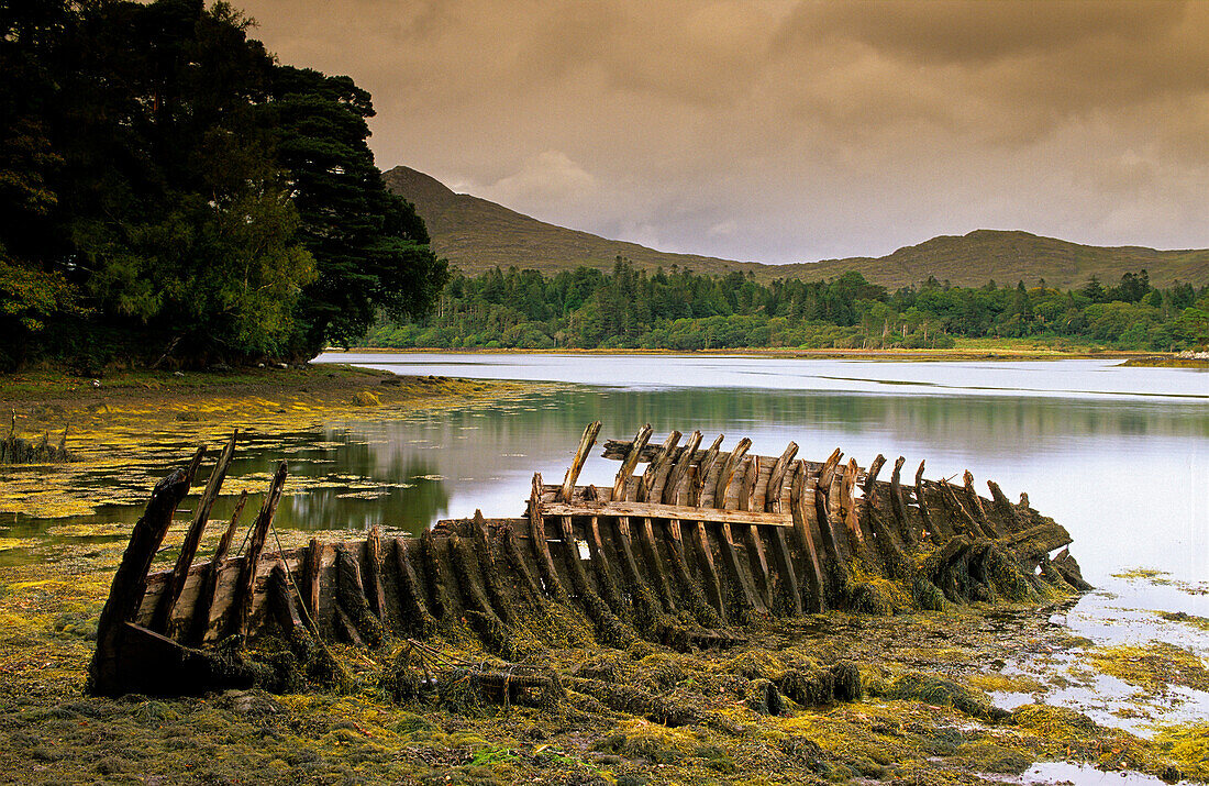 Bootswrack an einem See am Ring of Beara, County Kerry, Irland, Europa