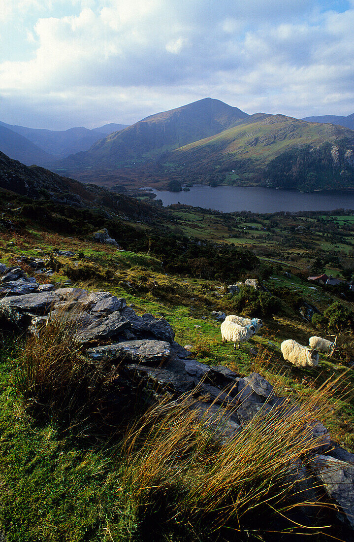 Blick vom Healy Pass, Halbinsel Beara, County Kerry, Irland, Europa