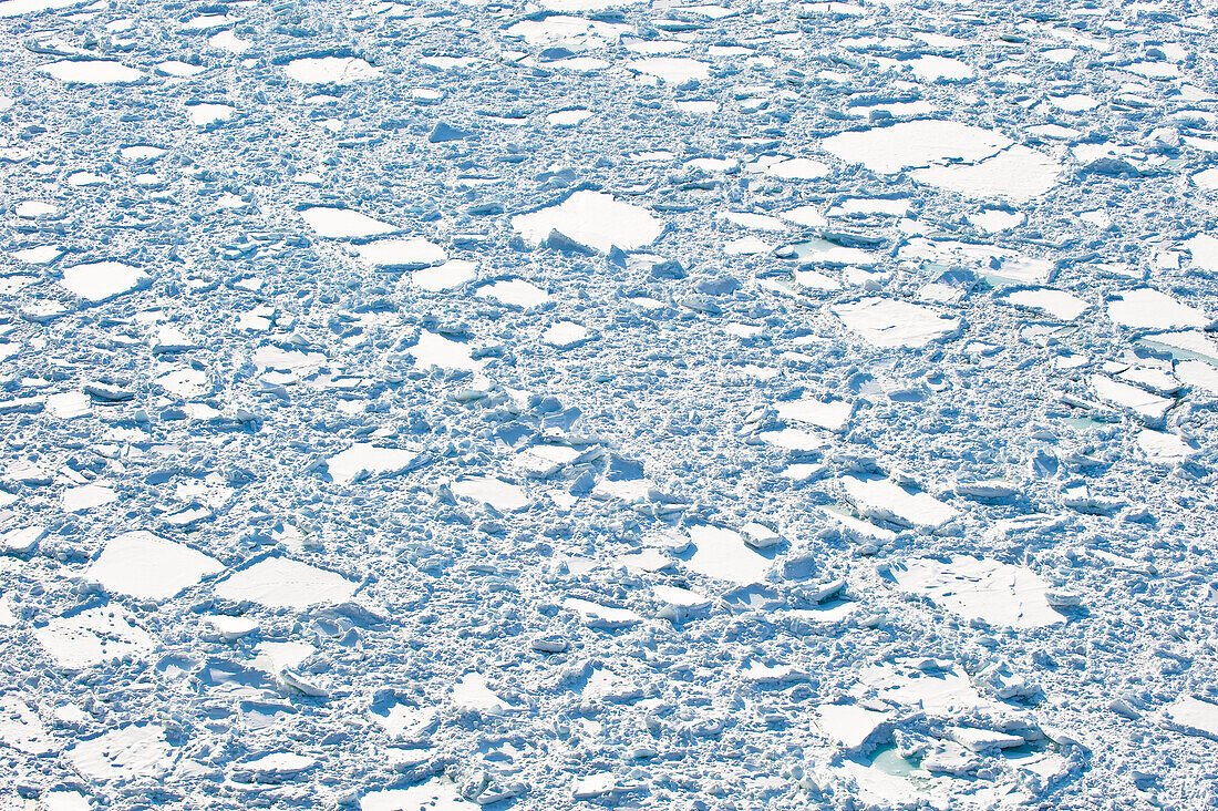 Eisschollen auf  dem Pazifik im Sonnenlicht, Hokkaido, Japan, Asien