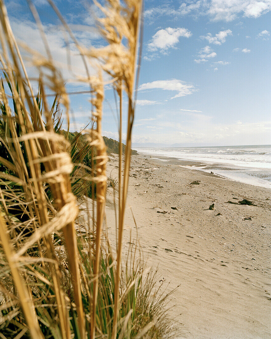Menschenleerer Strand im Sonnenlicht, Ship Creek Beach, Westküste, Südinsel, Neuseeland