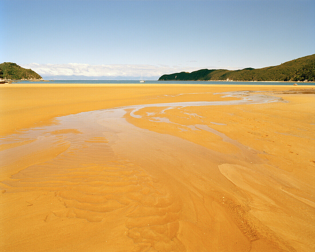 Sweeping beach at lowtide, Goat Bay Beach, Abel Tasman National Park, North Coast, South Island, New Zealand