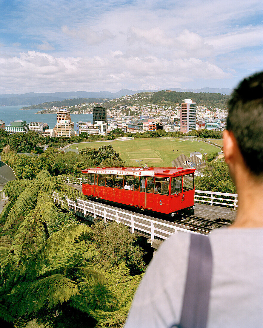 Blick über eine Strassenbahn auf Hochhäuser an der Küste unter Wolkenhimmel, Wellington, Nordinsel, Neuseeland