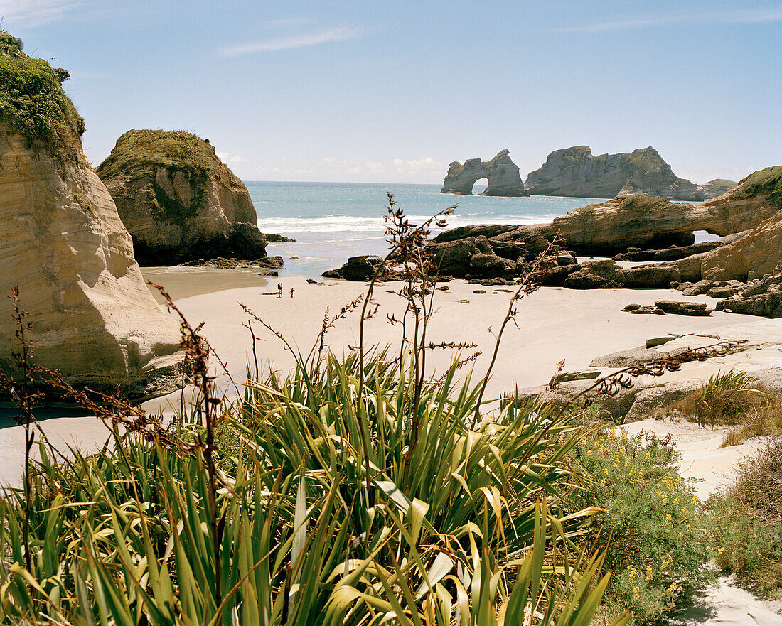Sandy beach and rocky islands at Wharariki Beach, northwest coast, South Island, New Zealand