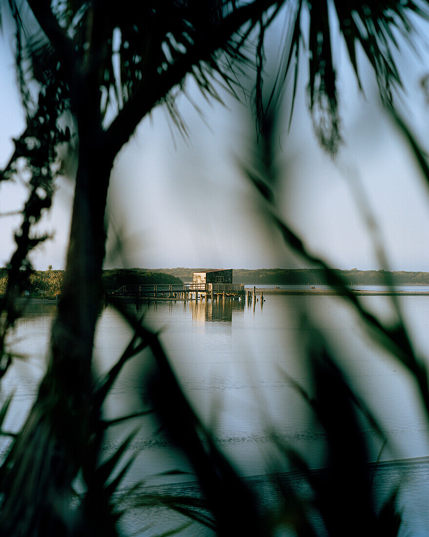 View at jetty at Okarito lagoon in the sunlight, Westland National Park, West Coast, South Island, New Zealand