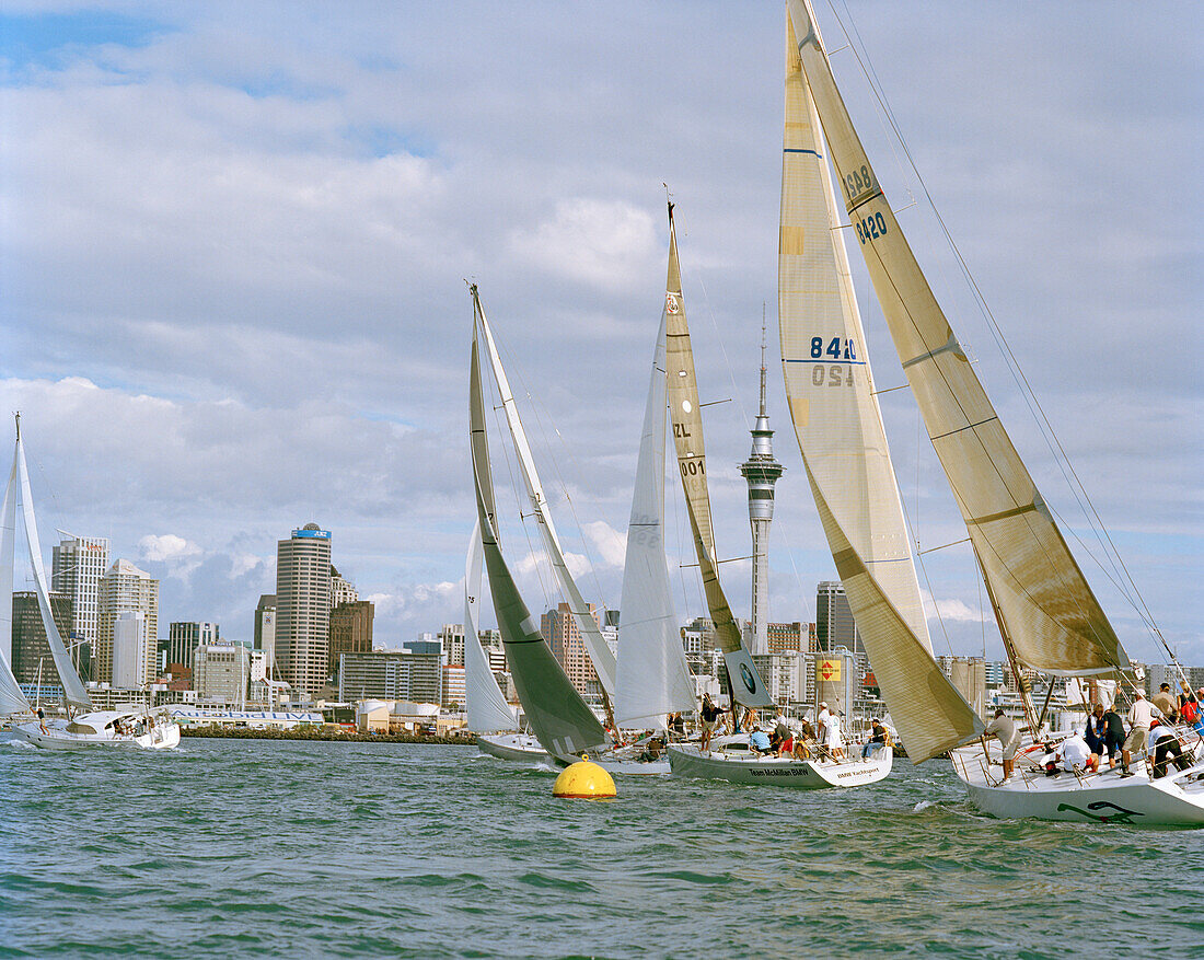 Segelboote bei voller Fahrt vor den Hochhäusern des Waitemata Harbour, Auckland, Nordinsel, Neuseeland